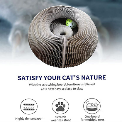 Cat Scratcher